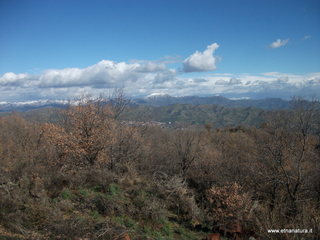 Grotta del Porcospino